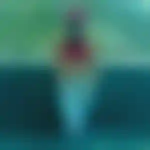 Foto von Stella