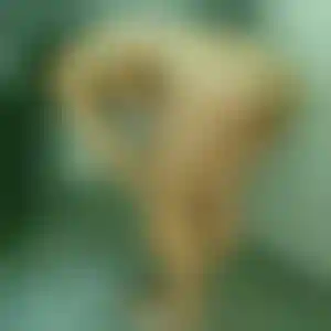 Foto von Ulrike
