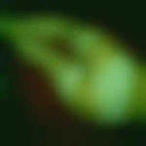 Foto von Emily