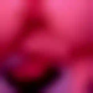 Foto von Maja