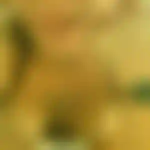 Foto von Antonia