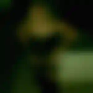 Foto von Sabine