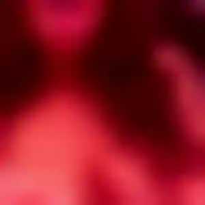 Foto von Heike