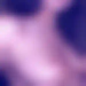 Foto von Heike