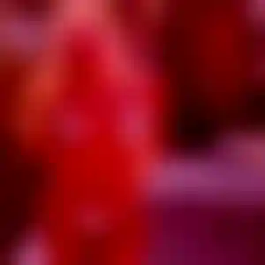 Foto von Diana