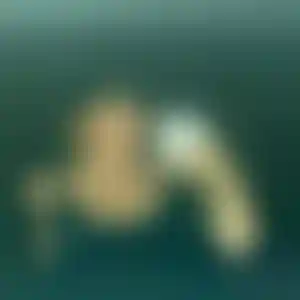 Foto von Sarah