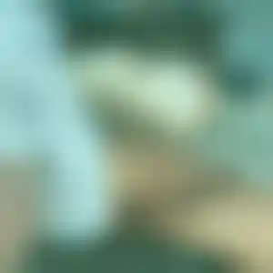 Foto von Ute