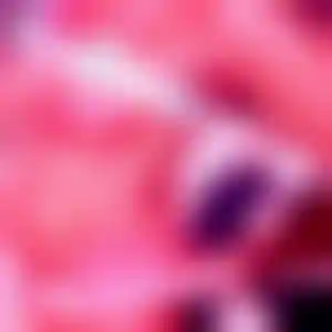 Foto von Viktoria