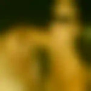 Foto von Ulrike